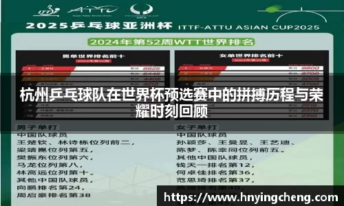 zoty中欧官网